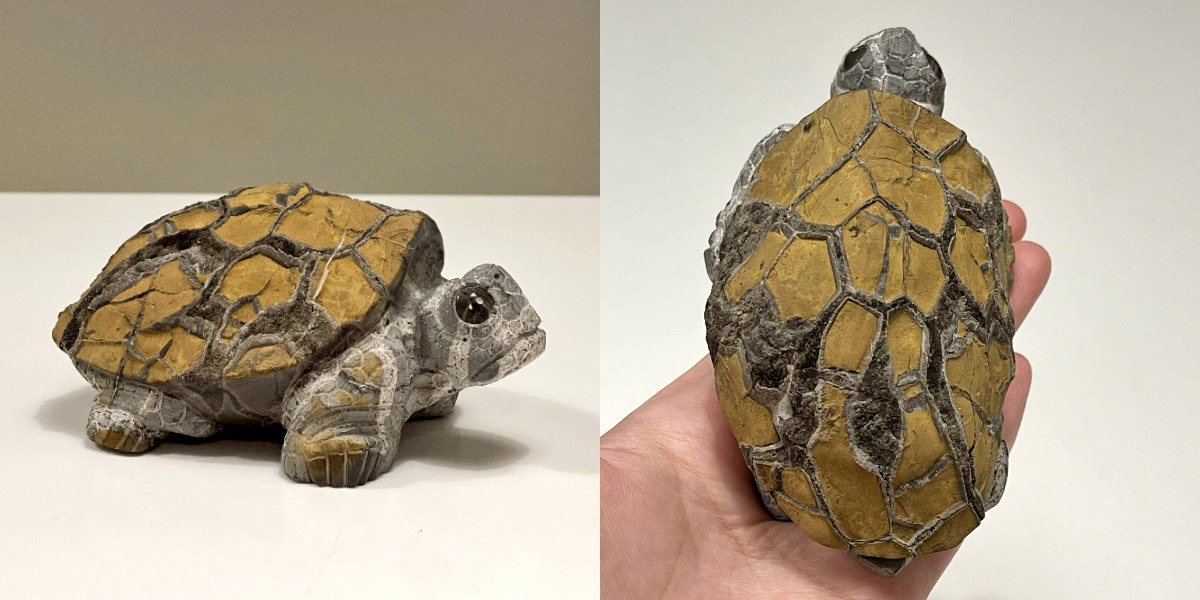 tortoise sculpture rough