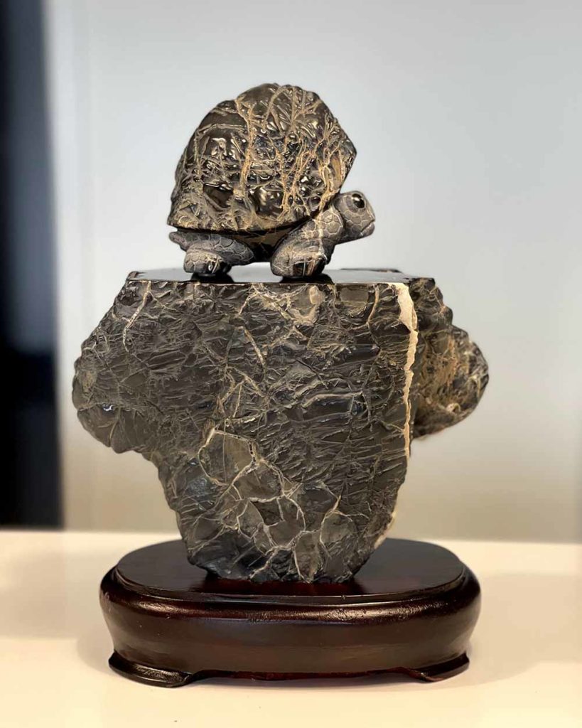 石雕烏龜側面-石龜雕刻-黑膽石