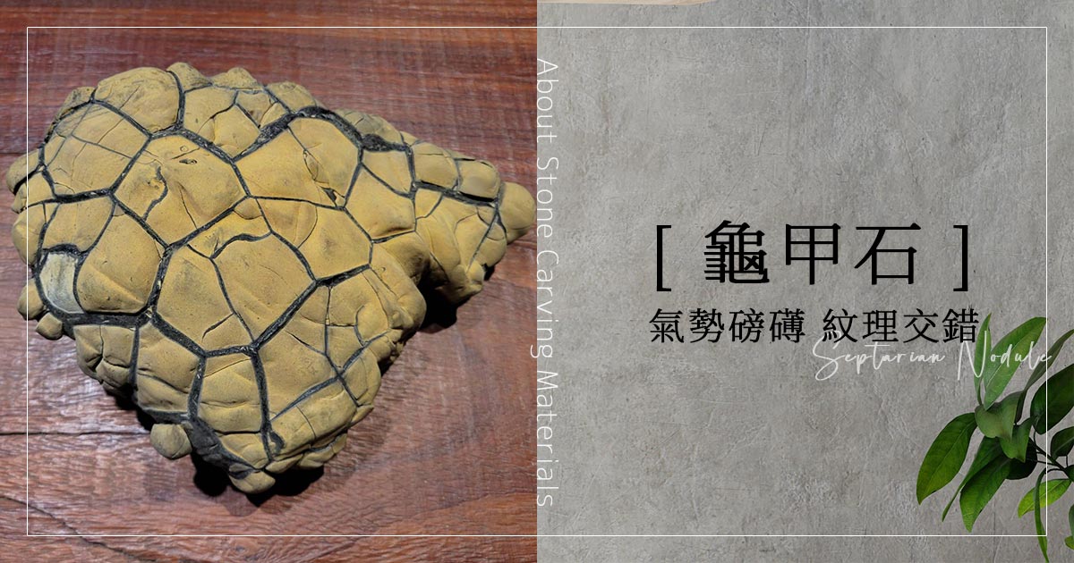 台灣黃龜甲石