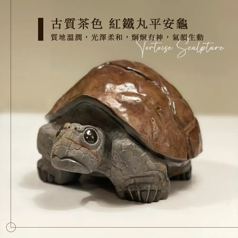tortoise9-sculpture-cover